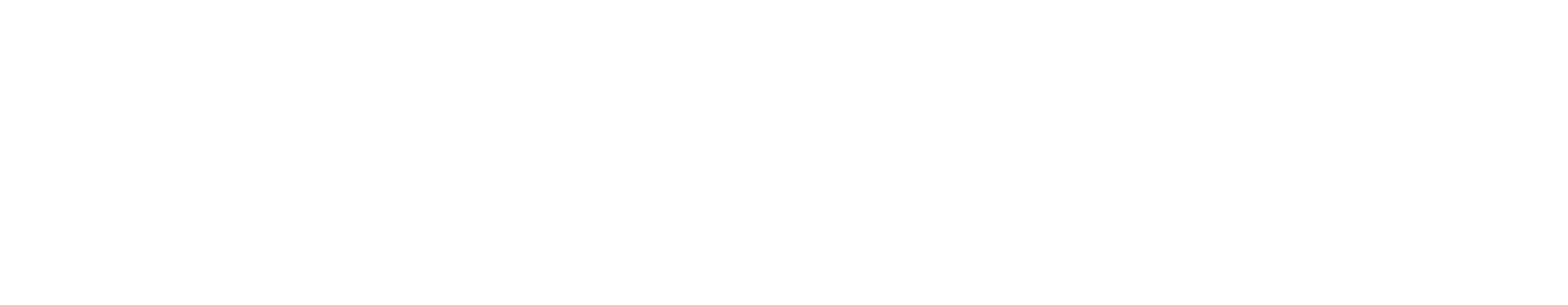 Stella Artois